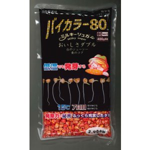 画像: [とうもろこし]　ミルキーシュガーバイカラー80　2000粒　トキタ種苗(株)