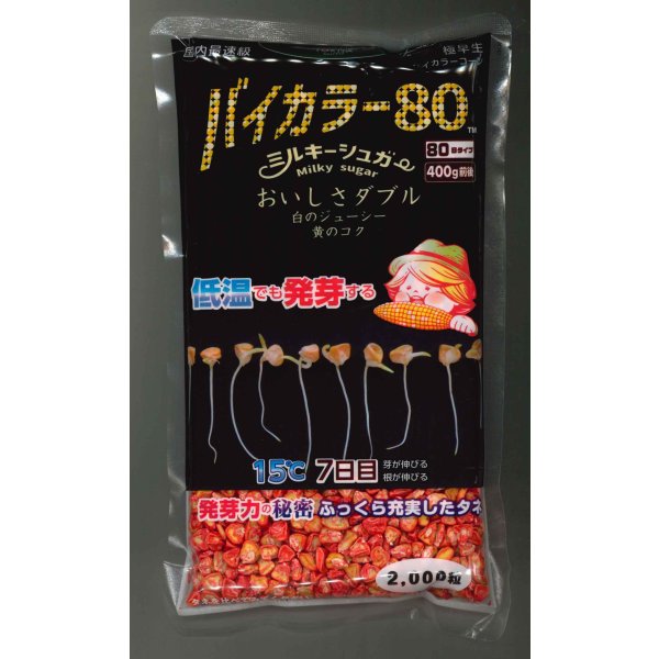 画像1: [とうもろこし]　ミルキーシュガーバイカラー80　2000粒　トキタ種苗(株) (1)
