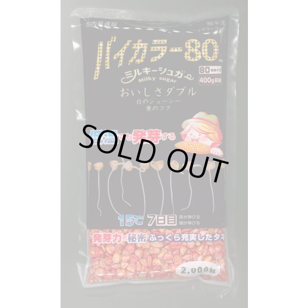 画像1: [とうもろこし]　ミルキーシュガーバイカラー80　2000粒　トキタ種苗(株) (1)