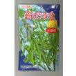 画像1: [枝豆]　鈴だるま　100粒　カネコ種苗（株） (1)
