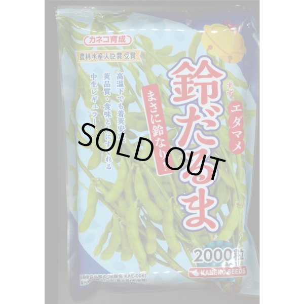 画像1: [枝豆] 鈴だるま 2000粒 カネコ種苗（株） (1)