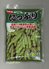 画像: 送料無料　[枝豆]　たっぷり　1dl  （株）サカタのタネ