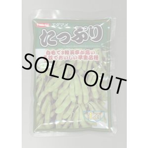 画像: [枝豆] たっぷり 1dl （株）サカタのタネ