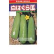 画像1: 送料無料　[瓜類]　白はぐら瓜　100粒　渡辺農事(株) (1)