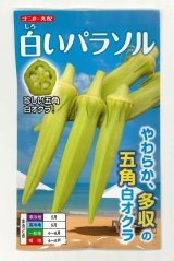 画像: 送料無料　[オクラ]　白いパラソル　50粒　ナント種苗(株)