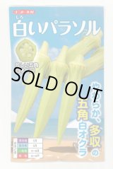 画像: [オクラ] 白いパラソル 50粒 ナント種苗(株)