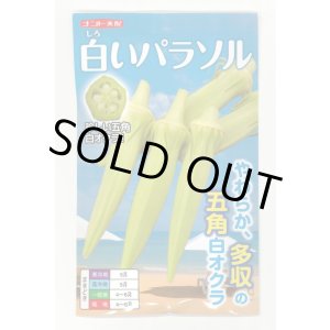 画像: [オクラ] 白いパラソル 50粒 ナント種苗(株)