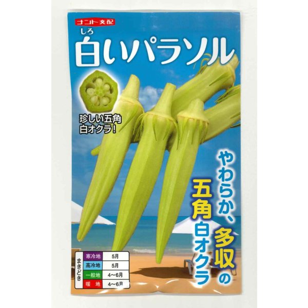 画像1: 送料無料　[オクラ]　白いパラソル　50粒　ナント種苗(株) (1)