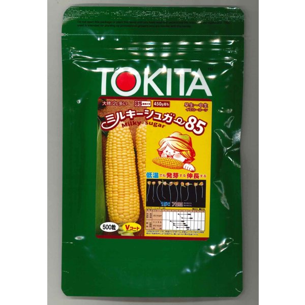 画像1: 送料無料　[とうもろこし]　ミルキーシュガー85　500粒　トキタ種苗(株) (1)