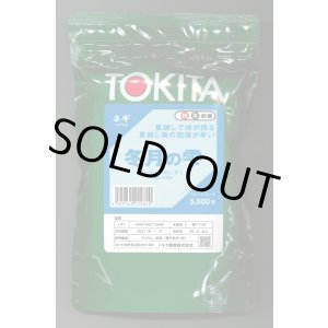 画像: [ねぎ]　冬月の雫　ペレット種子5000粒　トキタ種苗（株）