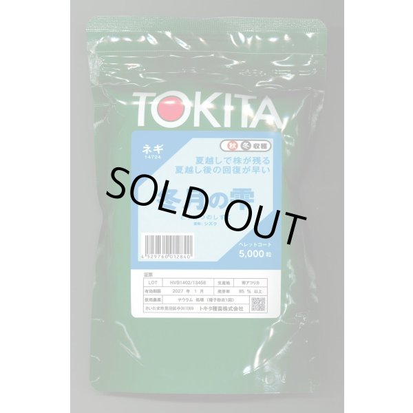 画像1: [ねぎ]　冬月の雫　ペレット種子5000粒　トキタ種苗（株） (1)