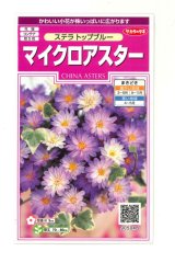 画像: 送料無料　花の種　マイクロアスター　ステラトップブルー　小袋　(株)サカタのタネ　実咲350（026092）