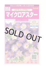 画像: 花の種 マイクロアスター ステラトップブルー 小袋 (株)サカタのタネ 実咲350(026092)