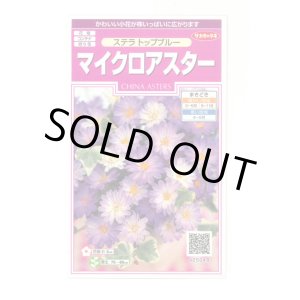 画像: 花の種 マイクロアスター ステラトップブルー 小袋 (株)サカタのタネ 実咲350(026092)