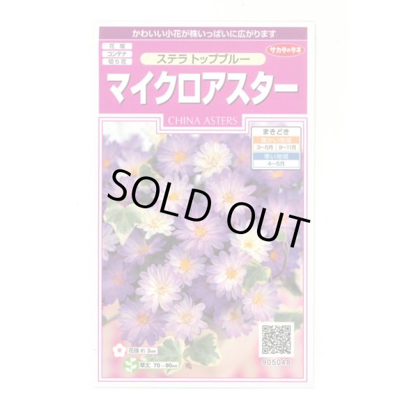 画像1: 花の種 マイクロアスター ステラトップブルー 小袋 (株)サカタのタネ 実咲350(026092) (1)