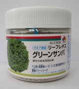 画像: [レタス]　グリーンサンバ　ペレット種子　5000粒　タキイ種苗(株)