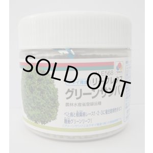 画像: [レタス]　グリーンサンバ　ペレット種子　5000粒　タキイ種苗(株)