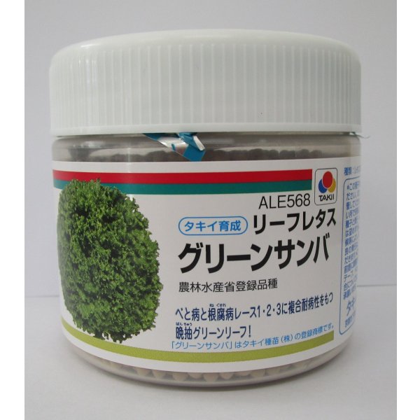 画像1: [レタス]　グリーンサンバ　ペレット種子　5000粒　タキイ種苗(株) (1)