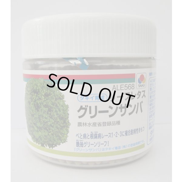 画像1: [レタス]　グリーンサンバ　ペレット種子　5000粒　タキイ種苗(株) (1)