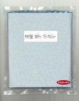 画像: 送料無料 [かぼちゃ] ブラックのジョー 500粒 (株)サカタのタネ