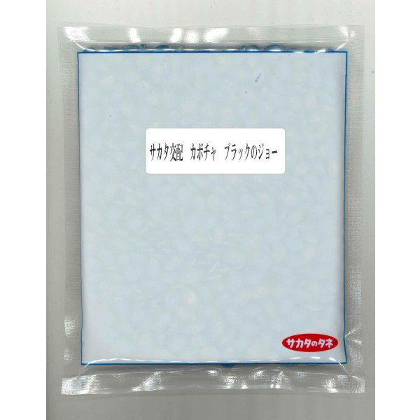 画像1: 送料無料 [かぼちゃ] ブラックのジョー 500粒 (株)サカタのタネ (1)