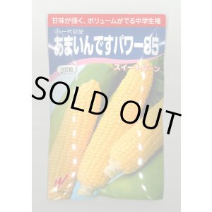 画像: [とうもろこし] あまいんですパワー85 200粒 渡辺農事(株)