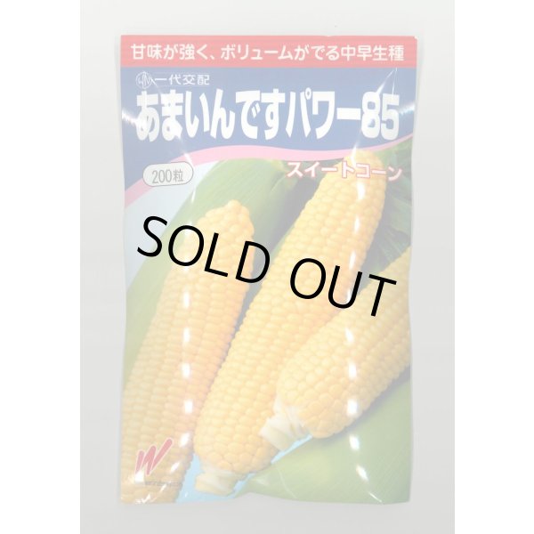 画像1: [とうもろこし] あまいんですパワー85 200粒 渡辺農事(株) (1)