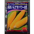 画像1: [とうもろこし]　あまいんですパワー85　2000粒　渡辺農事(株) (1)