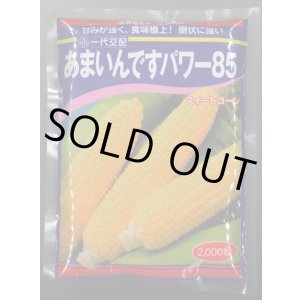 画像: [とうもろこし]　あまいんですパワー85　2000粒　渡辺農事(株)