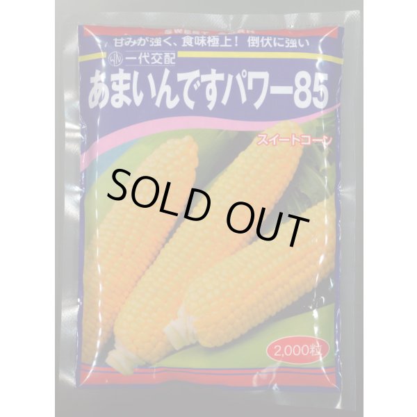 画像1: [とうもろこし]　あまいんですパワー85　2000粒　渡辺農事(株) (1)