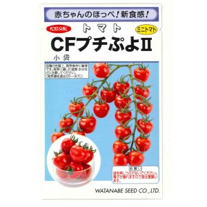画像: 送料無料　[トマト/ミニトマト]　CFプチぷよ2　(100粒)　(株)渡辺採種場