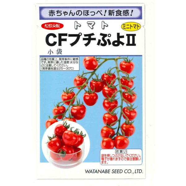 画像1: 送料無料　[トマト/ミニトマト]　CFプチぷよ2　(100粒)　(株)渡辺採種場 (1)