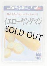 画像: [ズッキーニ] イエローヤングマン 100粒 (株)サカタのタネ