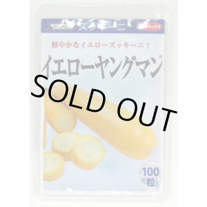 画像: 送料無料　[ズッキーニ]　イエローヤングマン　100粒　(株)サカタのタネ