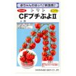 画像1: [トマト/ミニトマト] CFプチぷよ2 (7粒) (株)渡辺採種場 (1)