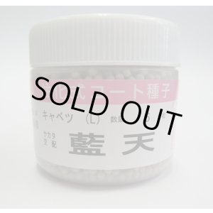 画像: 送料無料 [キャベツ] 藍天 ペレット種子 5000粒 （株）サカタのタネ