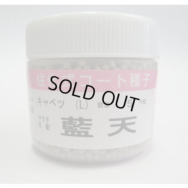 画像1: 送料無料 [キャベツ] 藍天 ペレット種子 5000粒 （株）サカタのタネ (1)