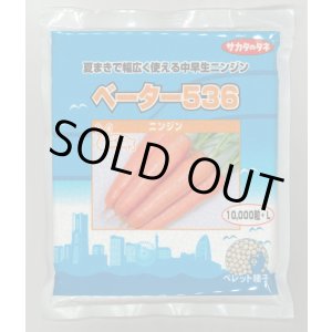 画像: [人参] ベーター536 ペレット1万粒 （株）サカタのタネ
