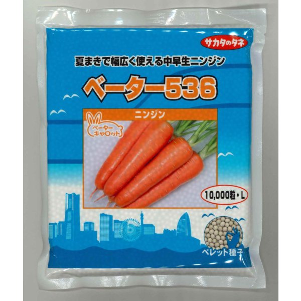 画像1: [人参] ベーター536 ペレット1万粒 （株）サカタのタネ (1)