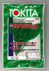 画像: [ほうれんそう] 早生サラダほうれんそう 1dl トキタ種苗(株)