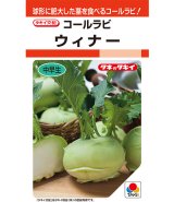 画像: コールラビ　ウィナー　1.3ml 　タキイ種苗(株) RF