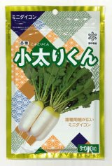 画像: [大根] 小太りくん 5000粒（コートしていません） 雪印種苗(株)