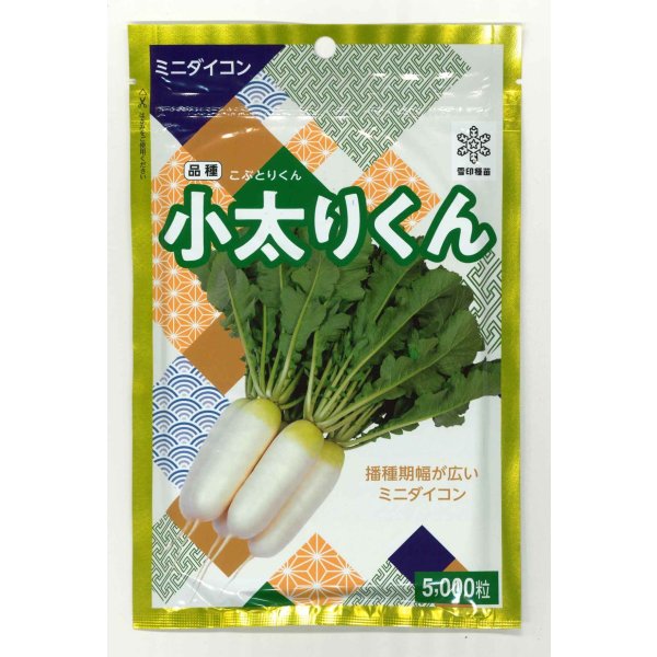 画像1: [大根] 小太りくん 5000粒（コートしていません） 雪印種苗(株) (1)