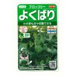 画像1: [ブロッコリー]よくばり(約50粒) (株)サカタのタネ 実咲450(203245) (1)