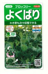 画像: [ブロッコリー]よくばり(約50粒) (株)サカタのタネ 実咲450(203245)