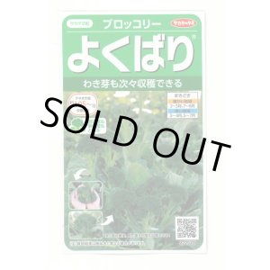 画像: [ブロッコリー]よくばり(約50粒) (株)サカタのタネ 実咲450(203245)