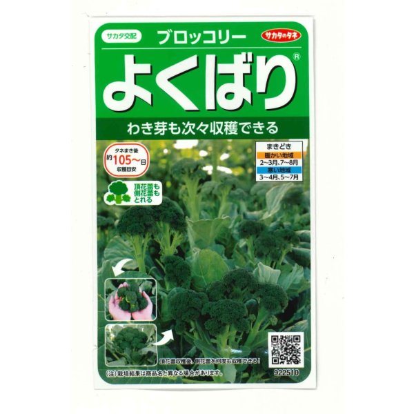 画像1: [ブロッコリー]よくばり(約50粒) (株)サカタのタネ 実咲450(203245) (1)