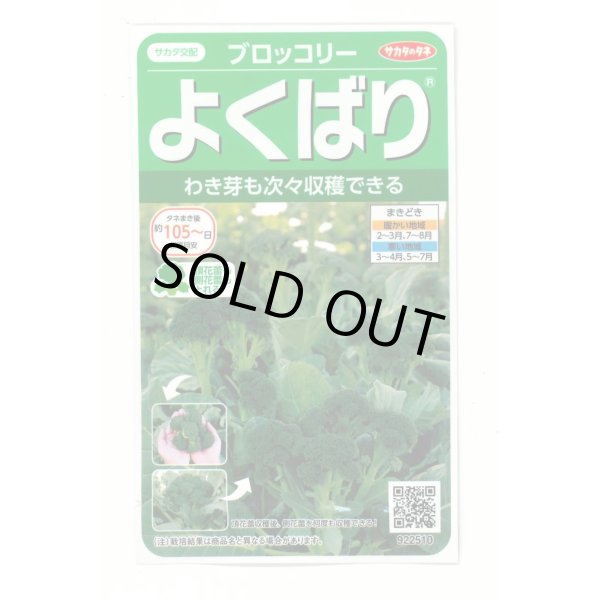 画像1: [ブロッコリー]よくばり(約50粒) (株)サカタのタネ 実咲450(203245) (1)