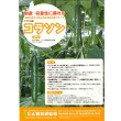 画像2: 送料無料　[キュウリ]　コラソン　350粒　(株)ときわ研究場 (2)