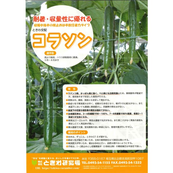画像2: 送料無料　[キュウリ]　コラソン　350粒　(株)ときわ研究場 (2)